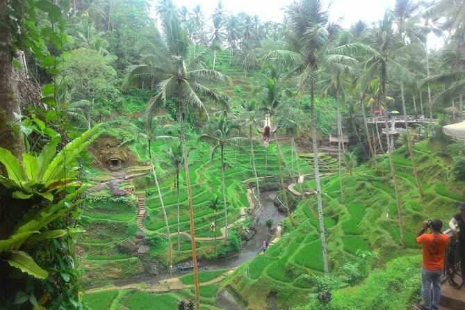 Bali in 1-Day : Rice Terrace, Volcano, Tanah lot - All Inclusive - Uma Pakel adds coffee, cocoa, and plant life