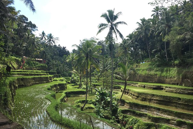 Bali Individual Route With Private English Speaking Driver - What this private Bali route really offers
