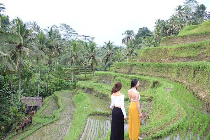 Bali Instagram Most Iconic Spots Private Tour - Lempuyang Temple and the Gate of Heaven