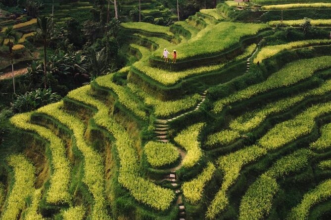 Bali Instagram Tour - All Inclusive - Walking to Tukad Cepung Waterfall