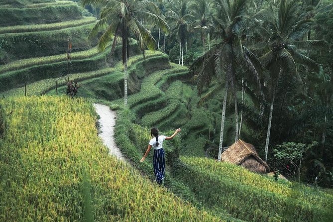Bali Instagram Tour from Your Hotel (Private & Full-day) - Waterfalls that require effort