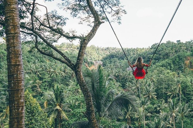 Bali Instagram Tour from Your Hotel (Private & Full-day) - Tirta Gangga and the old royal water gardens