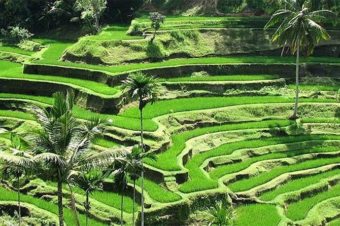Bali Instagram Tour : The Most Popular Spots In Bali - What the $62 price really covers