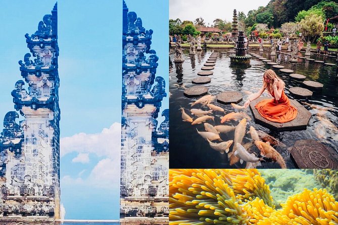 Bali Instagram Tour: The Most Popular Spots ( Private All-Inclusive ) - Tirta Gangga’s fountains and royal water gardens
