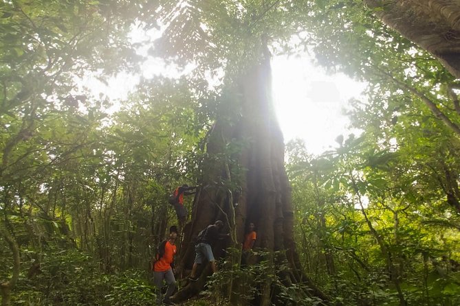 Bali Jungle Trekking and Lake Canoeing Tour - Banyumala Twin Waterfall is the refreshing payoff