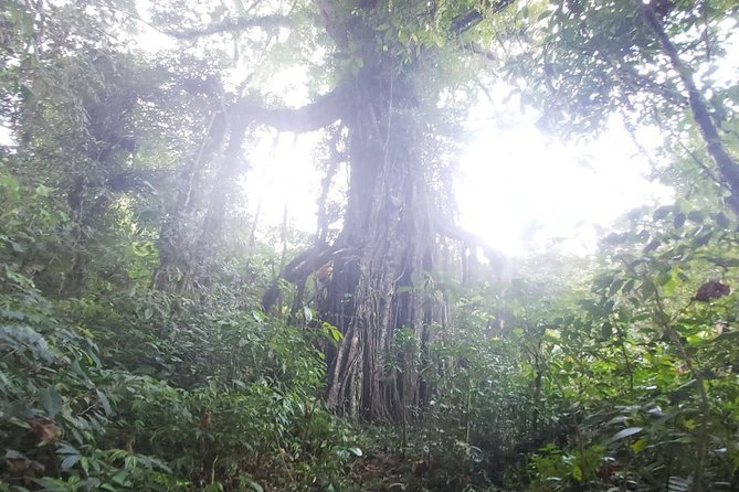 Bali Jungle Trekking and Lake Canoeing Tour - Optional southern stops can lengthen the day