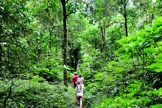 Bali Jungle Trekking in Beautiful Rainforest - Buyan Lake and Bali’s Twin Lakes