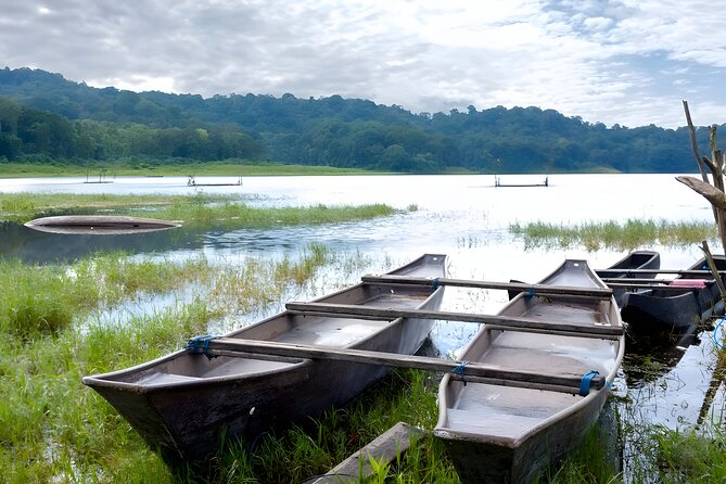 Bali Jungle Trekking in Beautiful Rainforest - What the private format really gives you