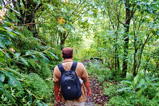 Bali Jungle Trekking in Beautiful Rainforest - Lunch after the trek