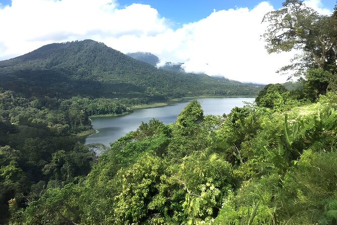Bali Jungle Trekking in Beautiful Rainforest - Tamblingan Lake: the heart of the outing