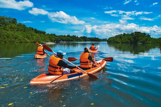 Bali Mangrove Canoeing Tour - What to Bring and What to Skip