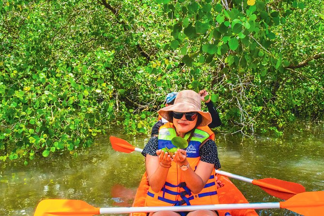 Bali Mangrove Canoeing Tour - Paddling Through the Mangrove Channels