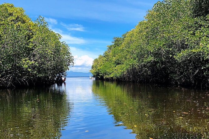 Bali Nusa Lembongan Islands Private Tour - All Inclusive - Why this Nusa Lembongan day trip works