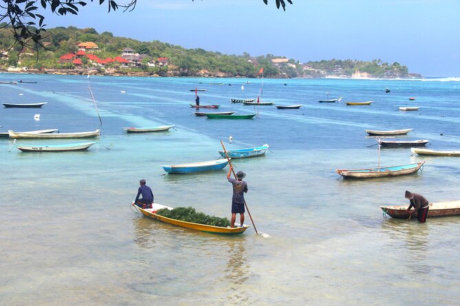 Bali Nusa Lembongan Islands Private Tour - All Inclusive - Mangrove Point: a calm start among protected waterways