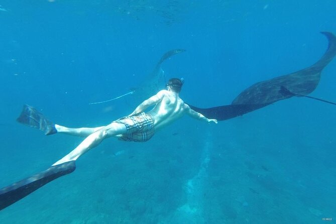 Bali Nusa Penida and Private Snorkeling (Manta Bay, Gamat, Wall) - Why this Nusa Penida day works best as a combined tour