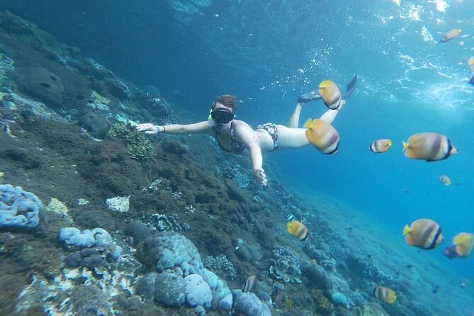 Bali Nusa Penida and Private Snorkeling (Manta Bay, Gamat, Wall) - Angel’s Billabong and the limits of the clock
