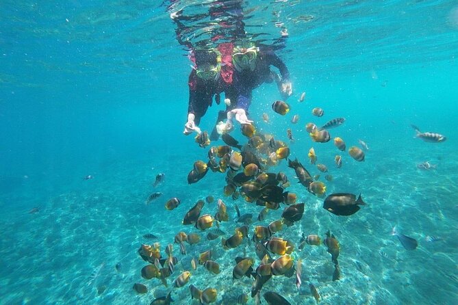 Bali Nusa Penida and Private Snorkeling (Manta Bay, Gamat, Wall) - Broken Beach, or Pasih Uug, and a lucky wildlife moment