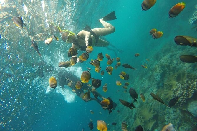 Bali Nusa Penida and Private Snorkeling (Manta Bay, Gamat, Wall) - Manta Bay: the headline snorkeling stop