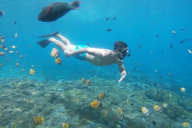 Bali Nusa Penida and Private Snorkeling (Manta Bay, Gamat, Wall) - Gamat Bay for reefs, fish, and changing currents