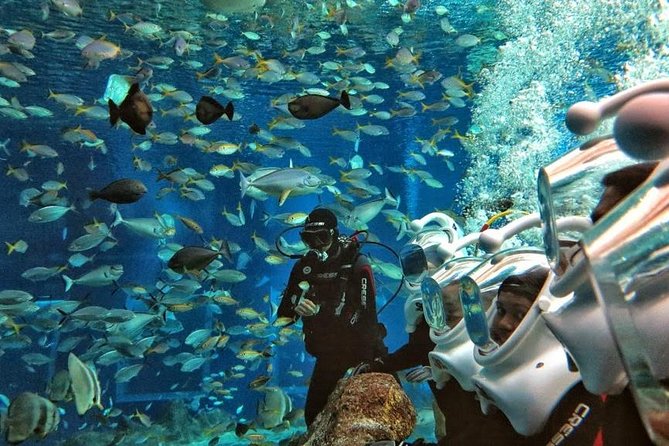 Bali Ocean Walker - Why Ocean Walker is different from snorkeling