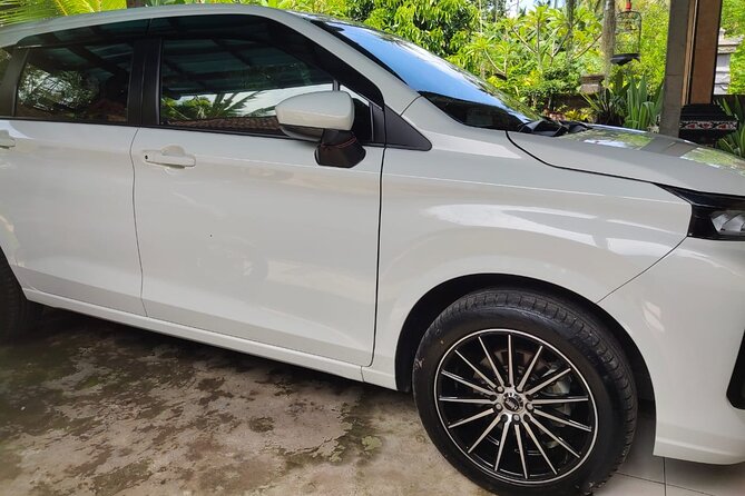 Bali Private Car and Customize Tour With English Speaking Driver - Coffee, herbal plants, and silver work