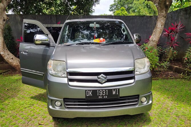 Bali Private Car and Customize Tour With English Speaking Driver - Mount Batur without promising a climb