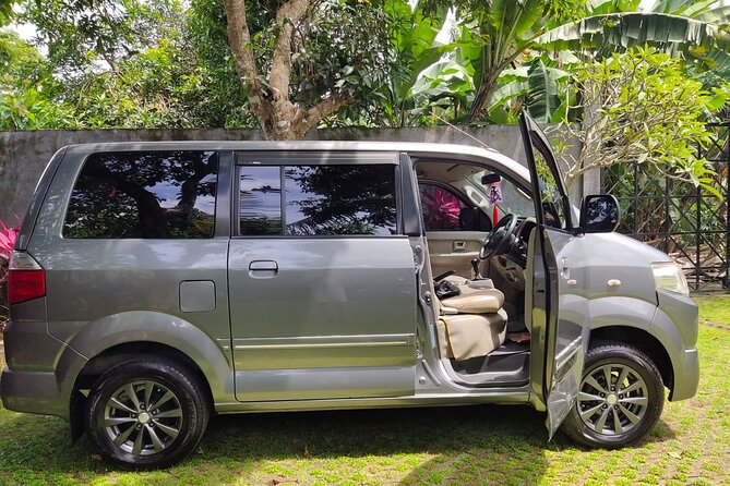 Bali Private Car Charter & Customize Tour With Driver English Speaking-Free WiFi - Monkey Forest, rice terraces, and the Ubud core