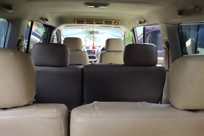 Bali Private Car Charter & Customize Tour With Driver English Speaking-Free WiFi - Tegenungan Waterfall for a short outdoor break