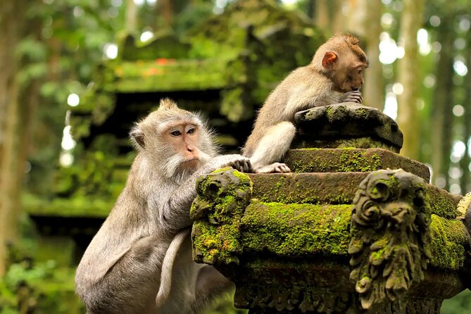 Bali Private Car Charter & Customize Tour With Driver English Speaking-Free WiFi - Why you should not combine Uluwatu, Jimbaran, and northern Bali