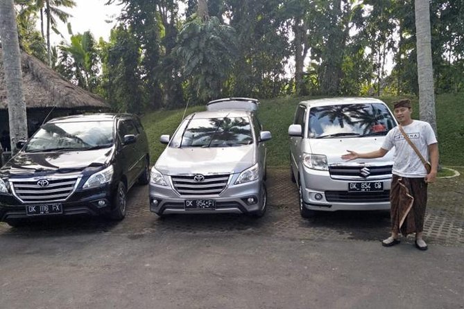Bali Private Car Charter With English Speaking Driver To Ubud Area - Monkey Forest, Ubud Market, and the Royal Palace