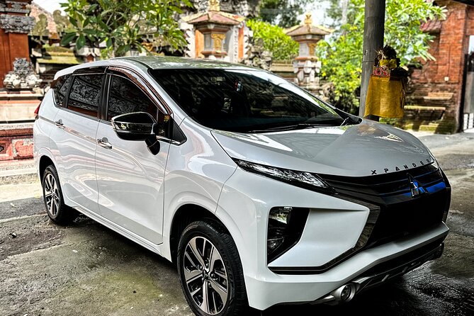 Bali Private Car Full Day Customized Tour With Drone Service - What Agus Adi adds to the day