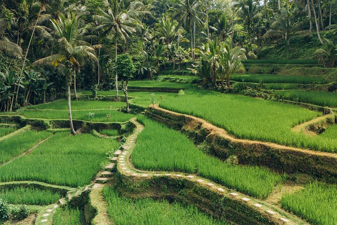 Bali Private Car Full Day Customized Tour With Drone Service - Markets, coffee, and local shopping
