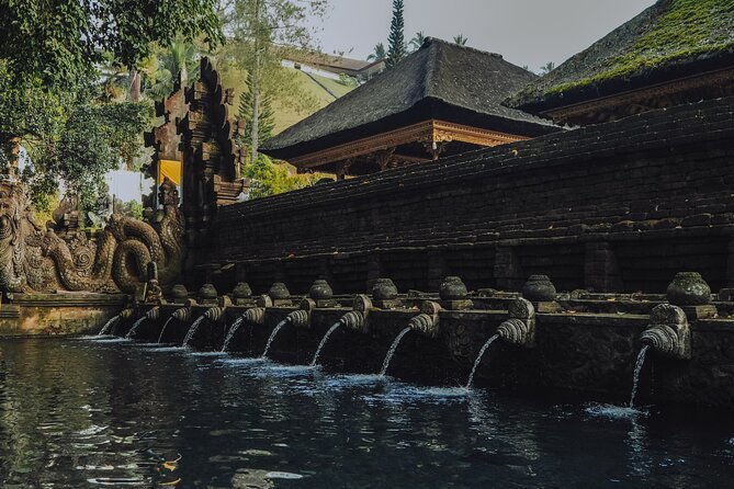 Bali Private Car Full Day Customized Tour With Drone Service - Ubud stops: temples, monkeys, and quick cultural visits