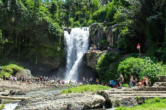 Bali Private Car Hire with Driver - Swings and photo stops