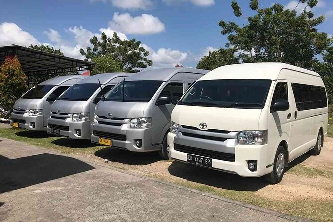Bali Private Car Hire with English-Speaking Driver - Seeing the Lines at Tegalalang Rice Terrace
