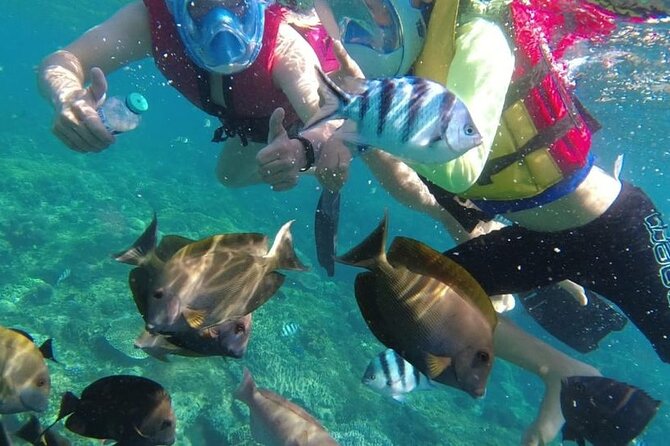 Bali Private Custom Tour - How the private car changes your day