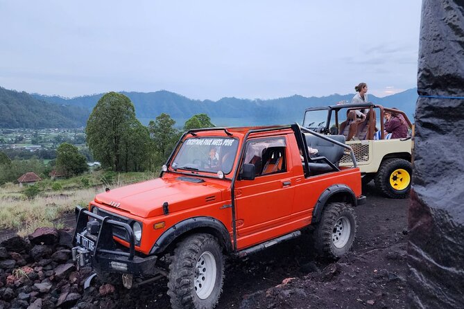 Bali Private Custom Tour - Who will get the most from this tour