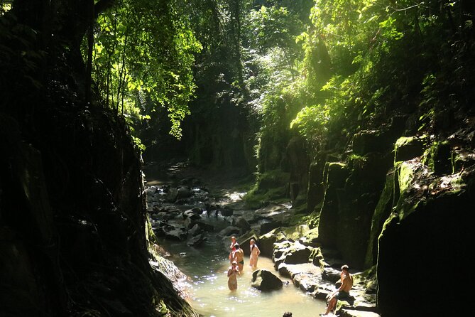 Bali Private Full Day Tour to Visit the Best Waterfalls and Swing near Ubud - A closer look at Bali Pulina Coffee Plantation
