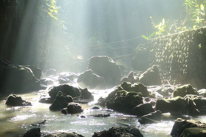 Bali Private Full Day Tour to Visit the Best Waterfalls and Swing near Ubud - What the $77 group price really buys