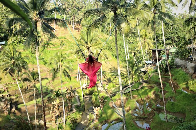 Bali Private Full Day Tour to Visit the Best Waterfalls and Swing near Ubud - The private guide-driver makes the difference