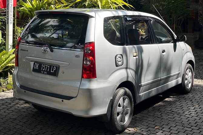 Bali Private Full Day Tour to Visit the Best Waterfalls and Swing near Ubud - Tegallalang in 30 minutes