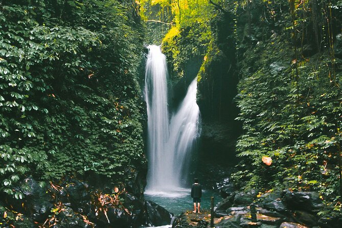 Bali : Private Fullday trip, Discover North Bali Destination - Fruit markets, coffee, and local contact