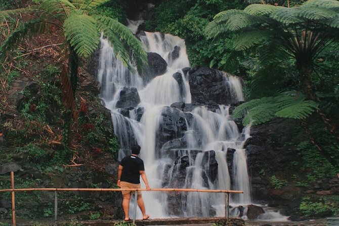 Bali : Private Fullday trip, Discover North Bali Destination - What the private vehicle adds