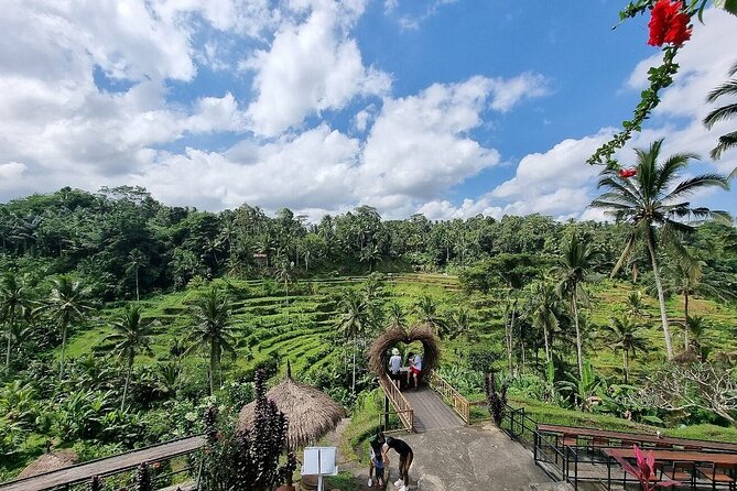 Bali Private inclusive tour: Best of Ubud in a Day - Monkey Forest and its 600 long-tailed residents