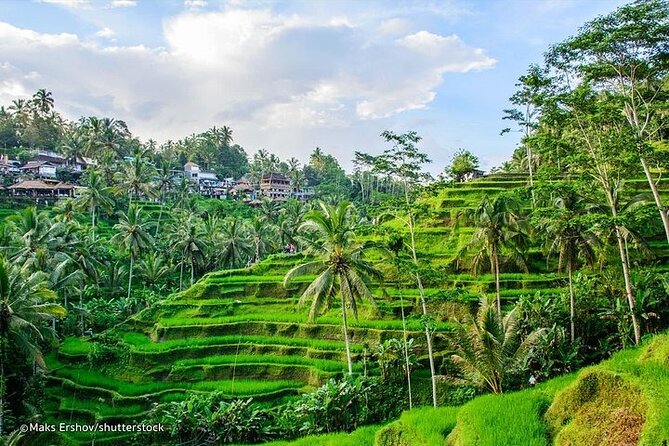Bali Private inclusive tour: Best of Ubud in a Day - Walking the Tegalalang Rice Terrace