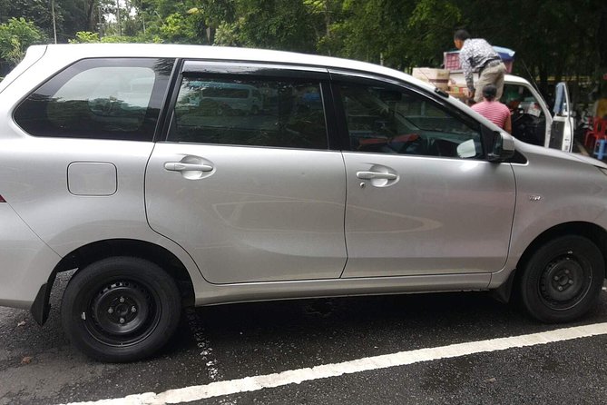 Bali Private Tour - Car with Driver - Who should book this private car day
