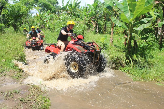 Bali Private Tour Guide And Driver - Is $32 good value?