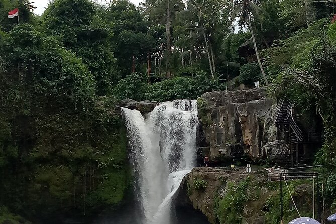 Bali Private Tour Guide And Driver - Practical planning before you go