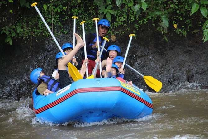 Bali Private Tour Guide And Driver - Who will enjoy this service most