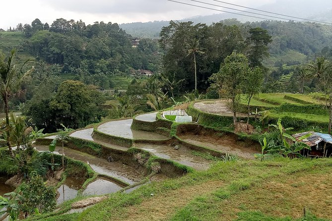 Bali Private Tour Guide And Driver - How to shape an eight-hour route